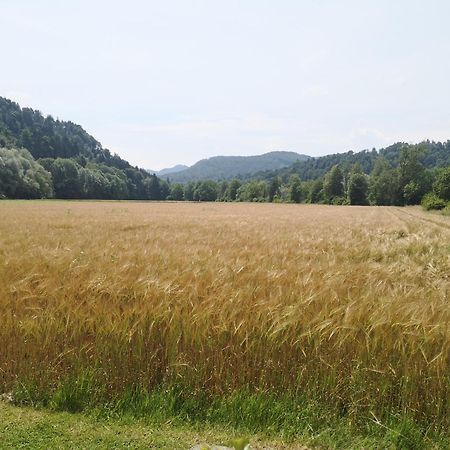 ゴレンスカ地方 Hiska Zeleni Rajヴィラ エクステリア 写真