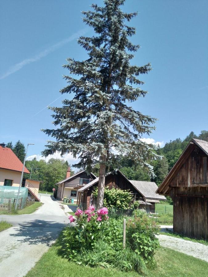 ゴレンスカ地方 Hiska Zeleni Rajヴィラ エクステリア 写真