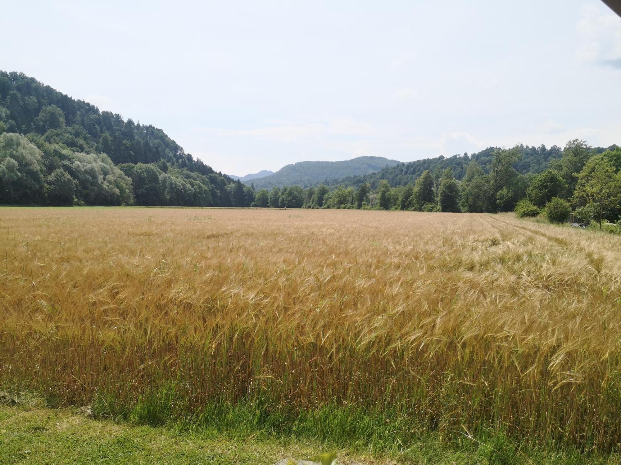 ゴレンスカ地方 Hiska Zeleni Rajヴィラ エクステリア 写真